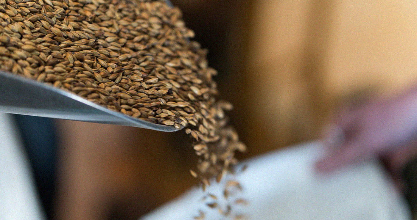 Brewing with grain